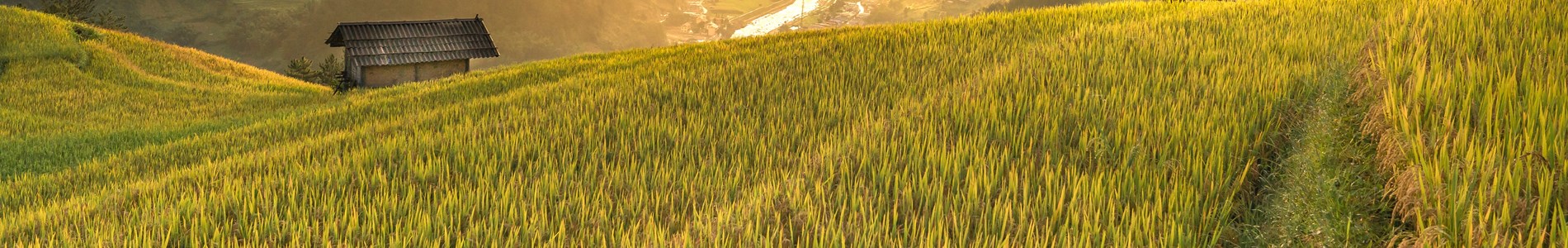 Agricoltura