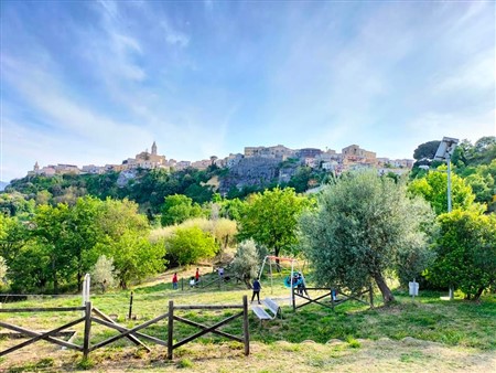 Un canone simbolico di €100,00 per l’affidamento, in concessione, del Parco suburbano di Via Convento