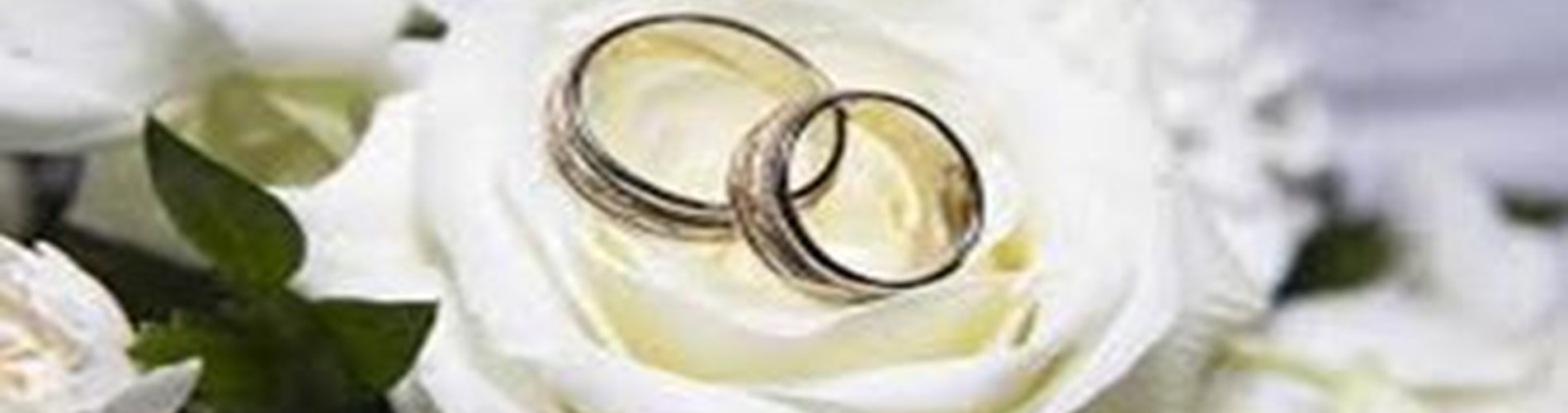Criteri e modalità di erogazione del contributo previsto dal Programma di sostegno alle coppie di futuri coniugi, a copertura parziale delle spese sostenute per il matrimonio